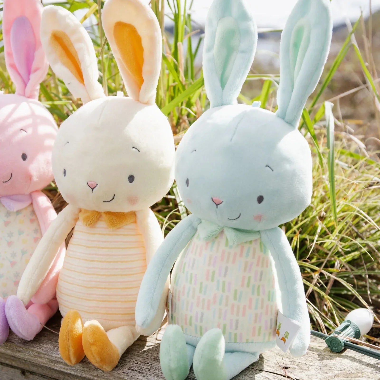 Bunnies By The Bay - Jelly Buns - Mint
